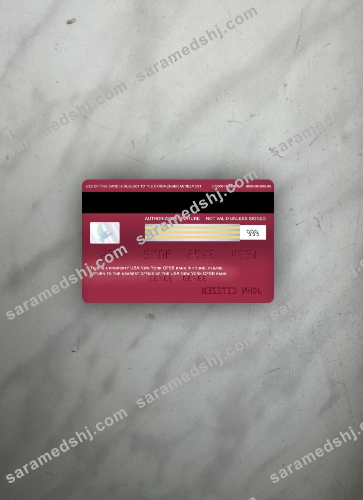 USA New York CFSB bank visa classic card photolook back